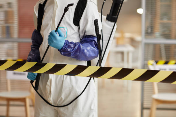 Professional Odor Removal technician working in Malone, FL